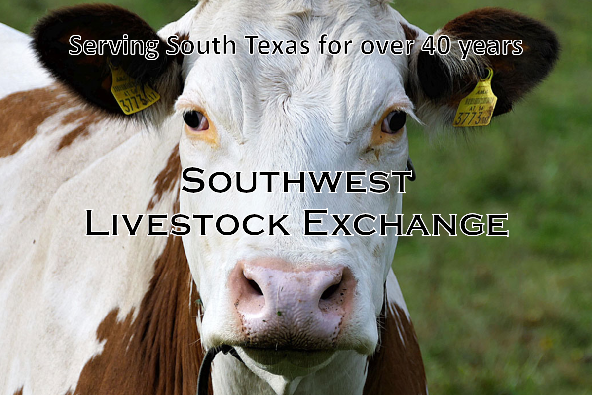 Southwest Livestock Exchange